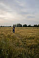 Urs Nussbaum