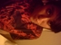 gabberrz