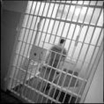 Jail_call_img_medium