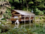 Teahouse_medium