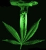 LandLord_216