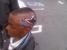 kingofdawest