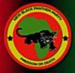 Newblackpantherpty_medium