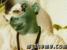 YOUNGPREP