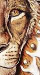 Lion_closeup_medium