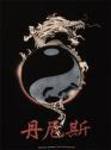 Silver_dragon_circle_ying_yang_medium