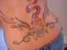shellbb