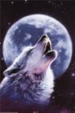 Howling_wolf_medium