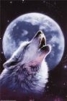 FULLMOONPRODUCTIONZ