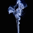 BenSmokin