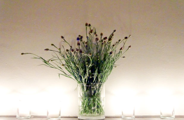 Brooklyn_Wedding_10