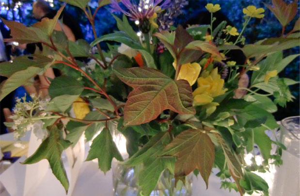 Brooklyn_Wedding_11
