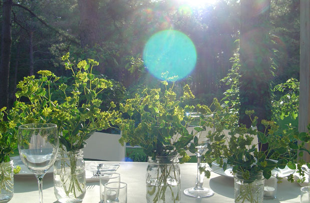 Summer_Benefit_01