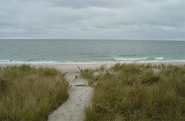 Dune_road_06