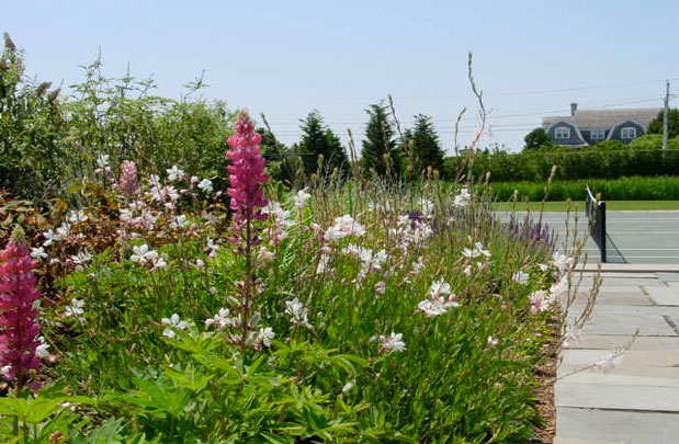 Shinnecock_Garden_02