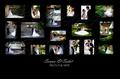Wedding Portraits