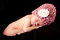 Newborn
