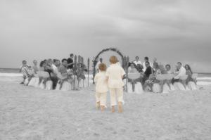 bluelenscaribe playa del carmen