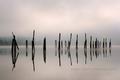 Pend Oreille Pilings