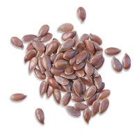 Flax_seeds