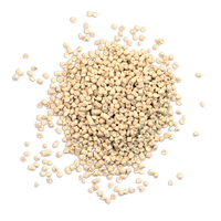 Yeast