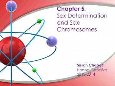 PPT Chapter 5 Sex Determination And Sex Chromosomes PowerPoint
