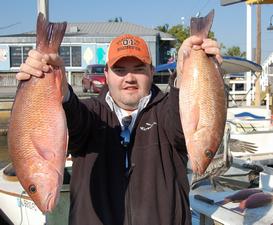 Mangrove Snapper