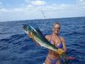 the fish