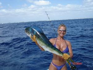 the fish