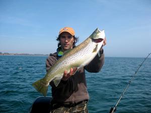 Spring Brown Trout