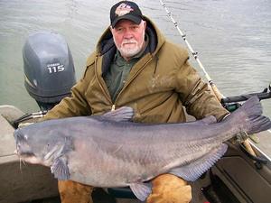 82 Lb Blue