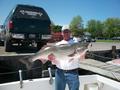 Chesapeake Bay Trophy Rockfish Aboard Rockaholic