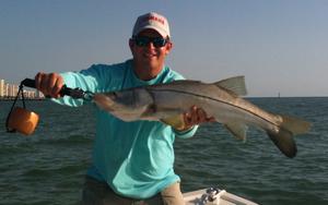 Snook