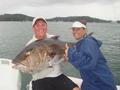 Come Fish Panama- 73 Pd. Amberjack