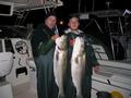 Western Sound Charters Long Island Sound Fishing