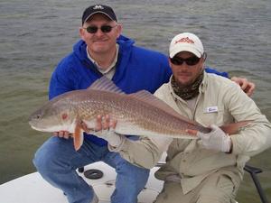 Mosquito Lagoon Redfish