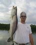 Mosquito Lagoon " Gator Trout"