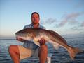 Indian River Redfish