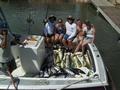 Mixed Bag