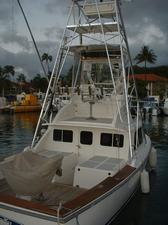 "Live Bait"