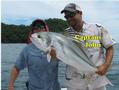 Me and a customer with a Roosterfish