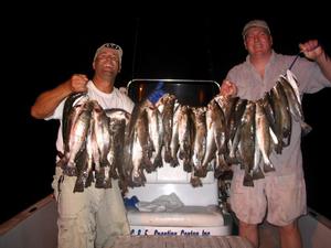 Trout stringer