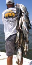 Trout stringer