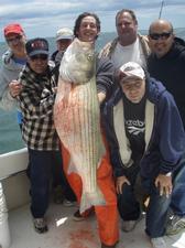We Catch Fish
