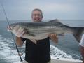 Steve's big Bass