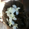 Erins%20hair