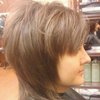Brick%20layered%20cut%20by%20dawn