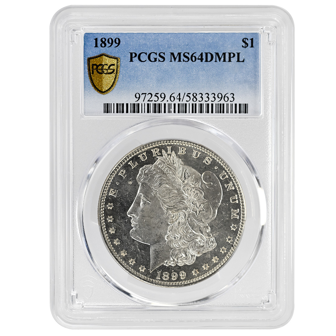 1899 $1 MS DMPL