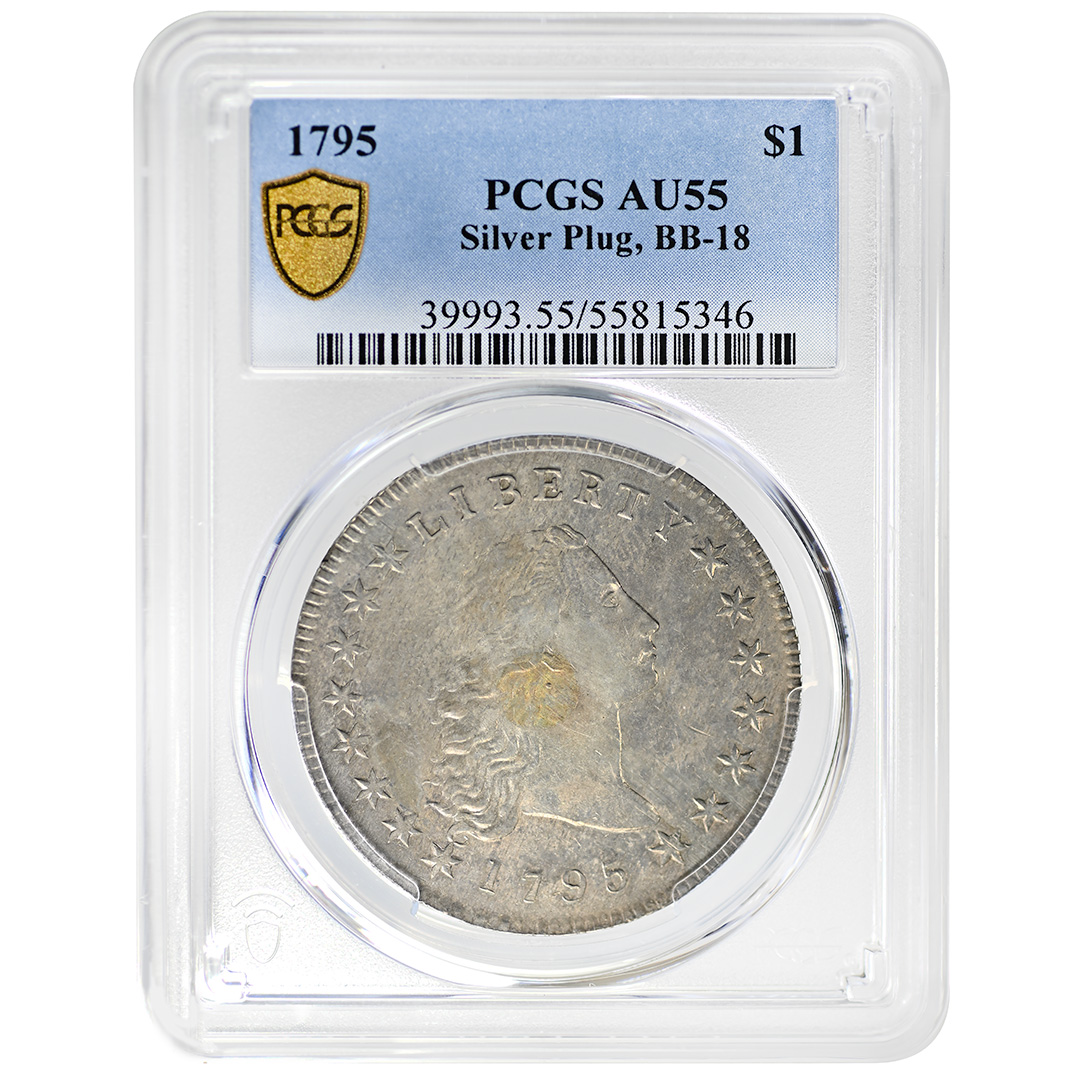 1795 $1 Flowing Hair, Silver Plug, 3 Leaves, B-7, BB-18 MS