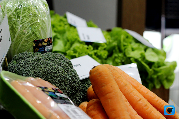 Semente orgânica coe-1498089477